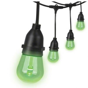 Green LED Edison Style String Lights